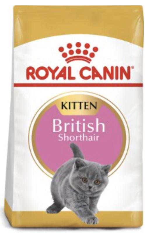 Royal canin junior sales kitten