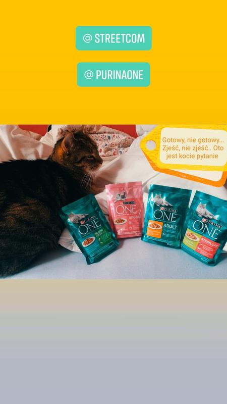 Purina One Coat Hairball 24 X 85 G Maxi Zoo