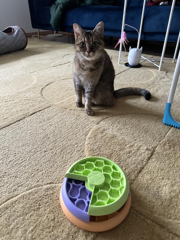 Entenform Slow Feeder Hundespielzeug - Interaktiver Futterspender Für Geistige Förderung