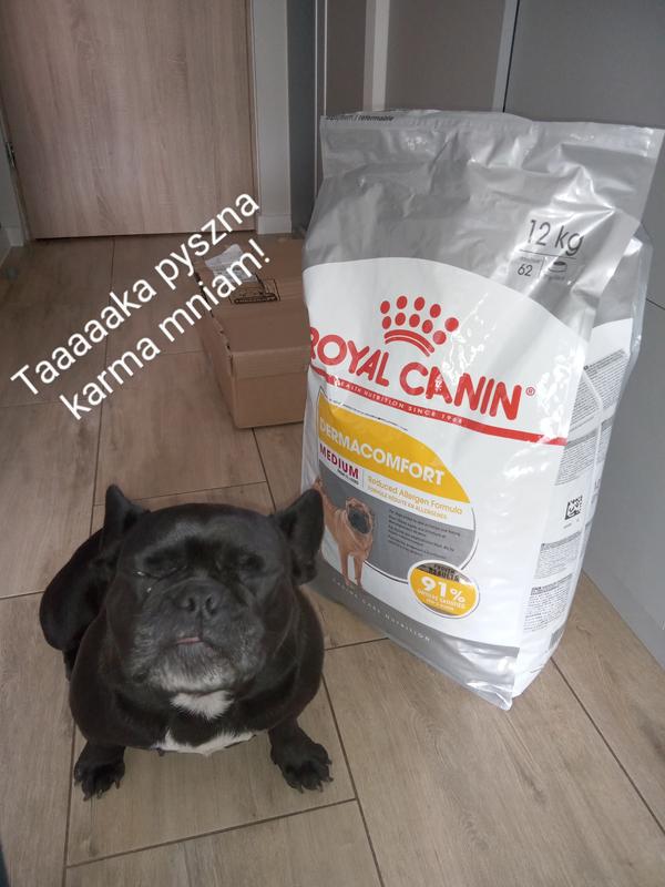 Dermacomfort medium hotsell royal canin