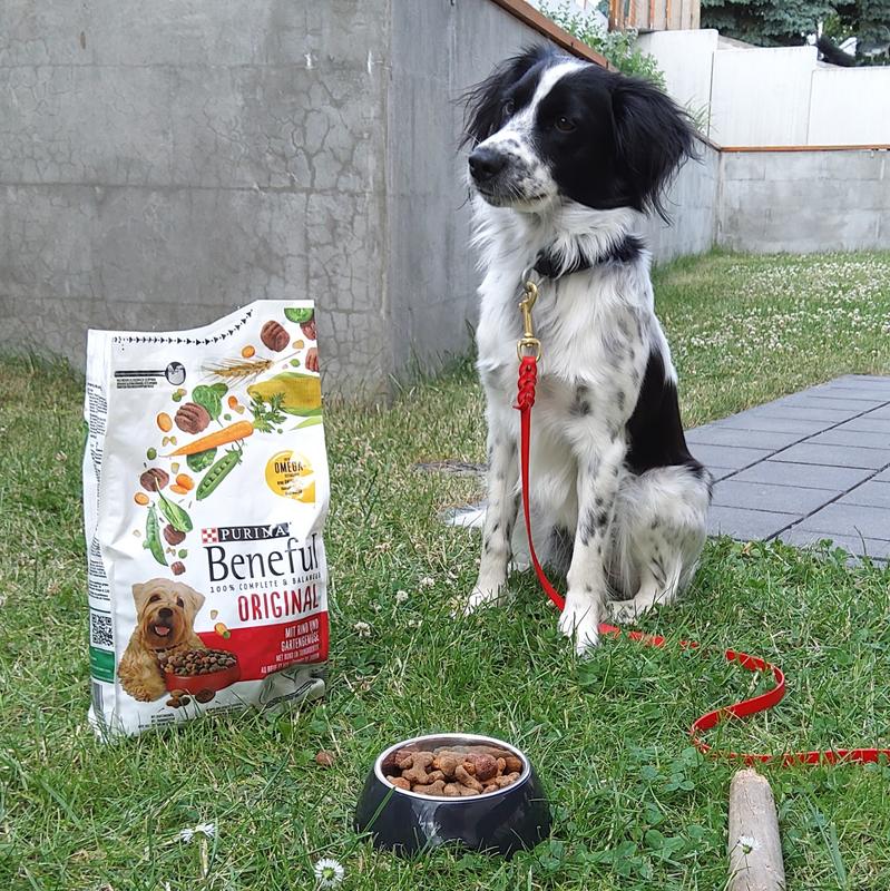 Beneful Purina Original Trockenfutter Hund, Adult, Rind & Gartengemse 12  kg | FRESSNAPF