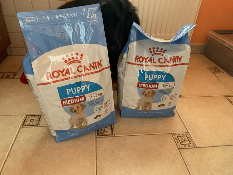 Royal canin puppy medium hot sale 4kg