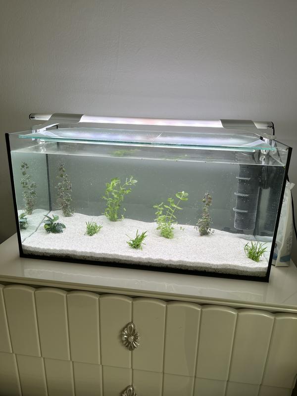 Aquarium sable loire 1mm -10kg