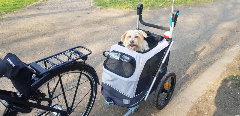 Trixie Remorque de vélo chien et chat de moins 15 kg