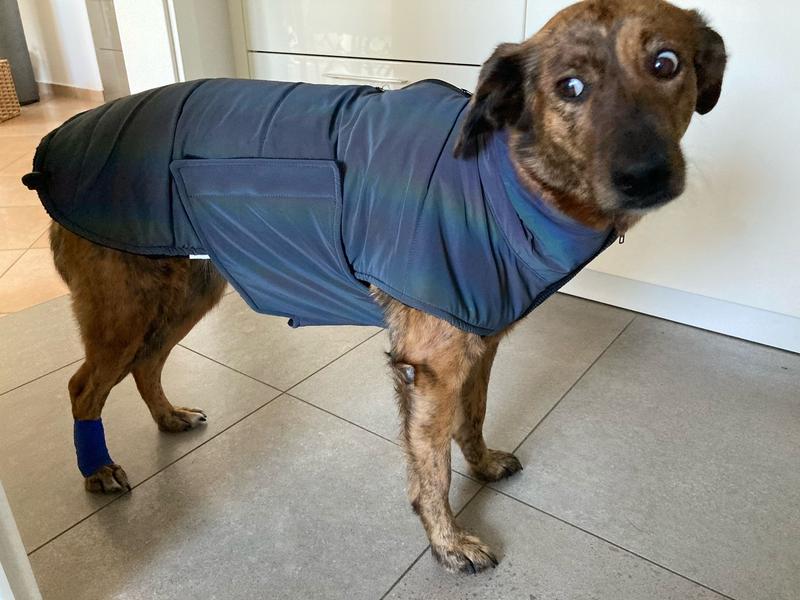 IECOii Hundemantel Aus Polarfleece – Wasserdicht, Winddicht & Super Kuschelig | Mit Reißverschluss & Verstellbar | Winter-Overall Für Große Hunde