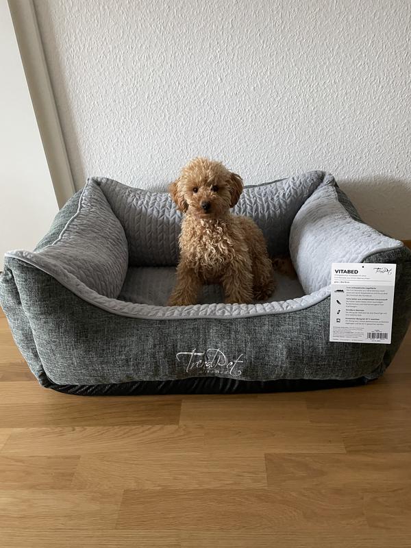 TrendPet VitaBed Classic orthopdisches Hundebett grau L | FRESSNAPF