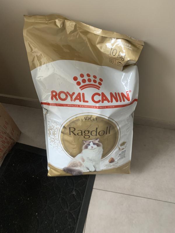 ROYAL CANIN Ragdoll Adult 10 kg FRESSNAPF