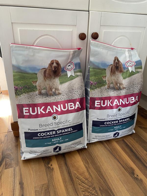 Eukanuba cocker spaniel best sale