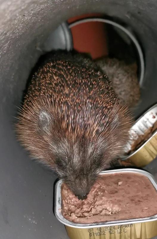 Vitakraft Igel Menu Nassfutter, 100g Produktbild-Vorschau 8