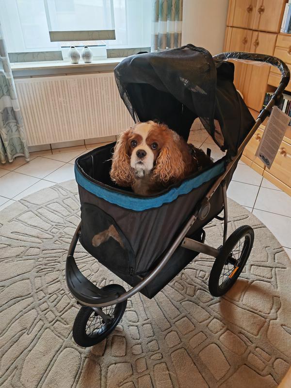 Trixie Buggy | FRESSNAPF