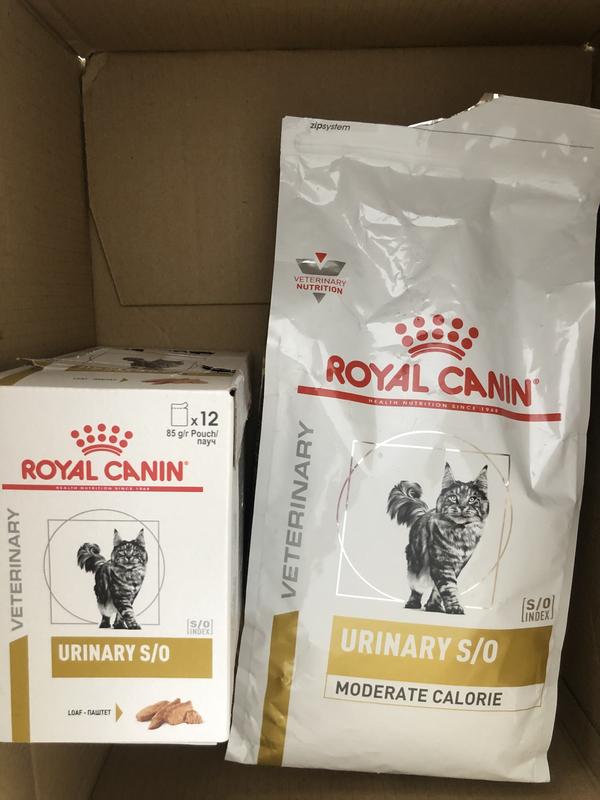 Royal Canin Veterinary Diet Chat Vessie Urinaire S/O Nourriture Sèche 3,5kg