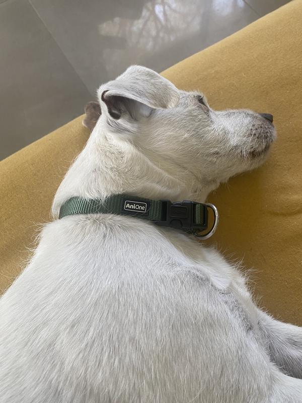 halsband keramik Zeckenhalsband mit EM-Keramik  Polarblau  Paw & Panda
