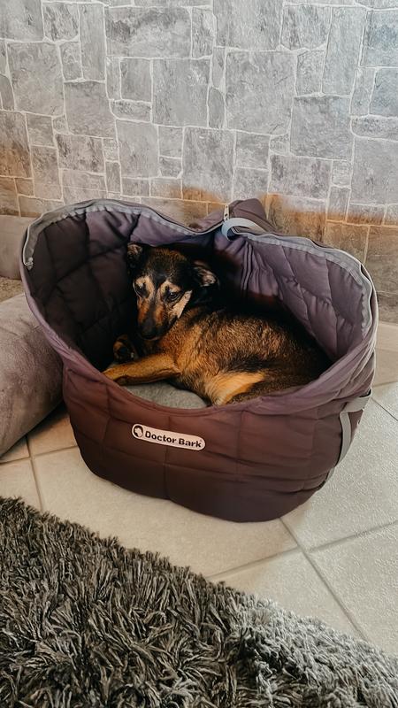 Lifemax rspca tough dog hot sale bed