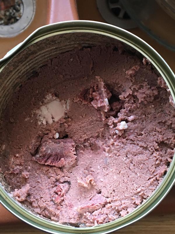 Go-Cat Trockenfutter Für Indoor-Katzen – Mit Rind, Huhn & Gemüse, 800 G, Reduziert Haarballen, Fördert Gesunde Verdauung