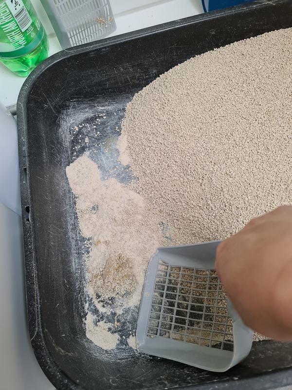 hund zahnbrste Hundezahnbrste