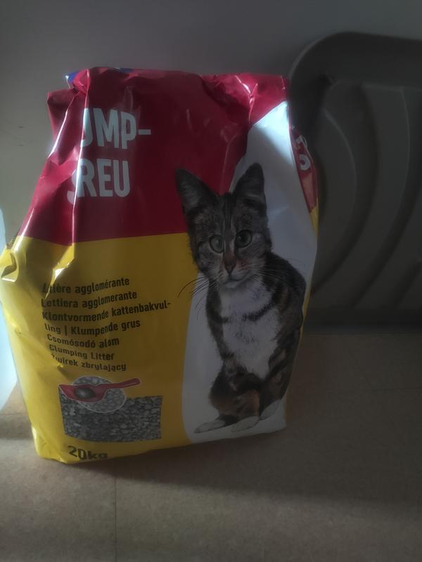 was ist besser trocken oder nassfutter Genussbox Junior