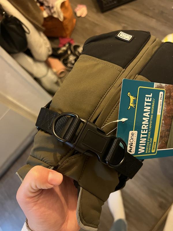 orthopädische matratze hund Rexproduct Hundematratze orthopädisch 