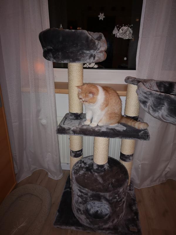 MORE Boogie scratching post | MAXI ZOO