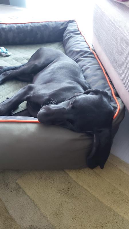 bett mit hundebett Green Cocoon Hundebett - Gedecktes, kuscheliges & beruhigendes Bett fr  alle Rassen