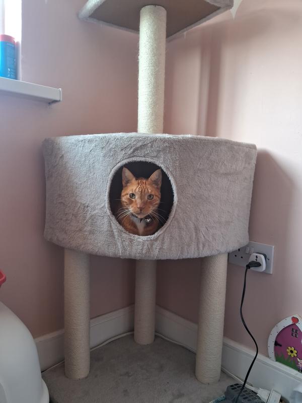 FIT+FUN Fudo Scratching Tree MAXI ZOO