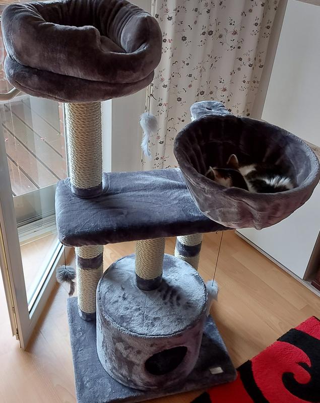 MORE Boogie scratching post | MAXI ZOO