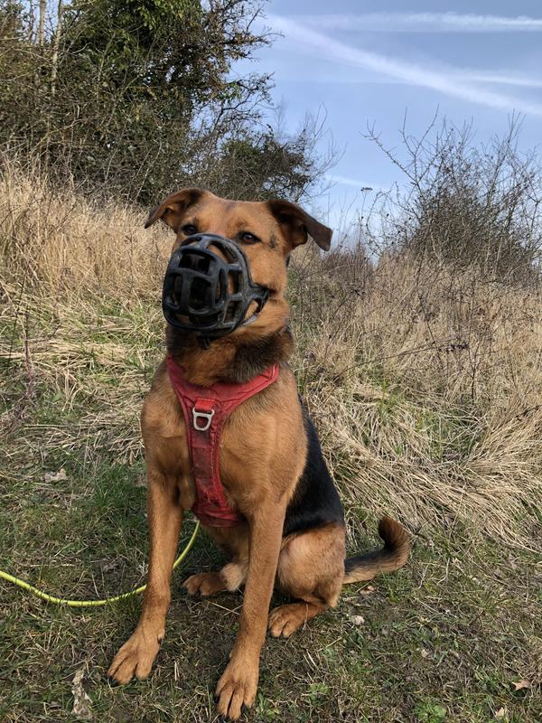 Tungi klublardagi jinsiy aloqa havaskor kamera bilan suratga olingan