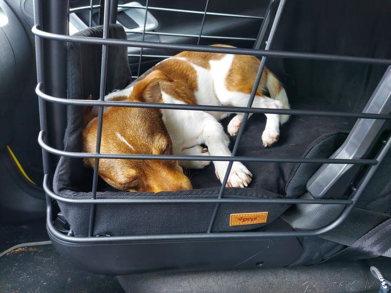 Caisse de transport pour chien 4Pets - Voyager avec son chien
