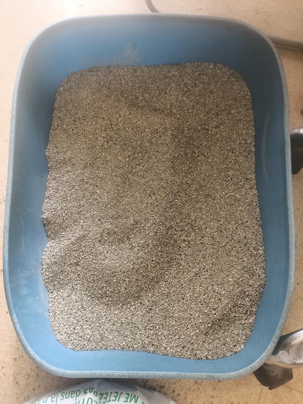 Biokat's Diamond Care MultiCat Fresh günstig kaufen bei