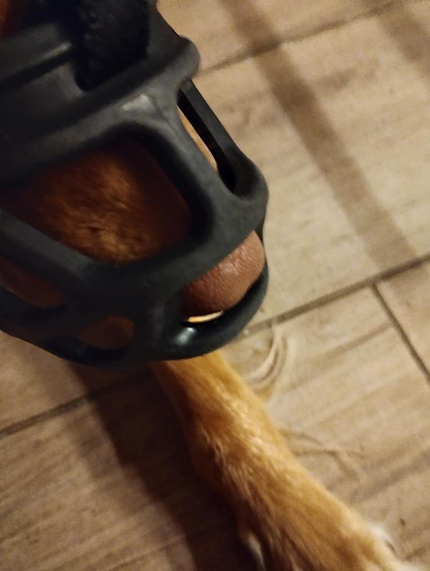 Chiroyli sexy qizlar rasmlari