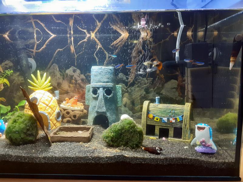 Aquariumdecoratie Drijvende Rots met zuignap