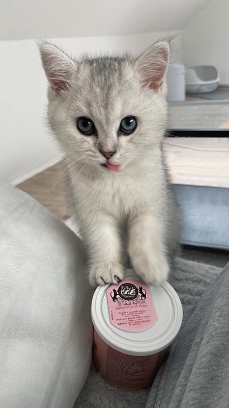 Kitty s Cuisine Crunchy Snack Kitten 100g FRESSNAPF