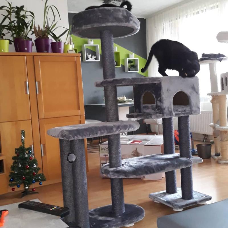 aufbewahrung christbaumkugeln Weihnachtskugeln Aufbewahrungsbox grau 30 Kugeln