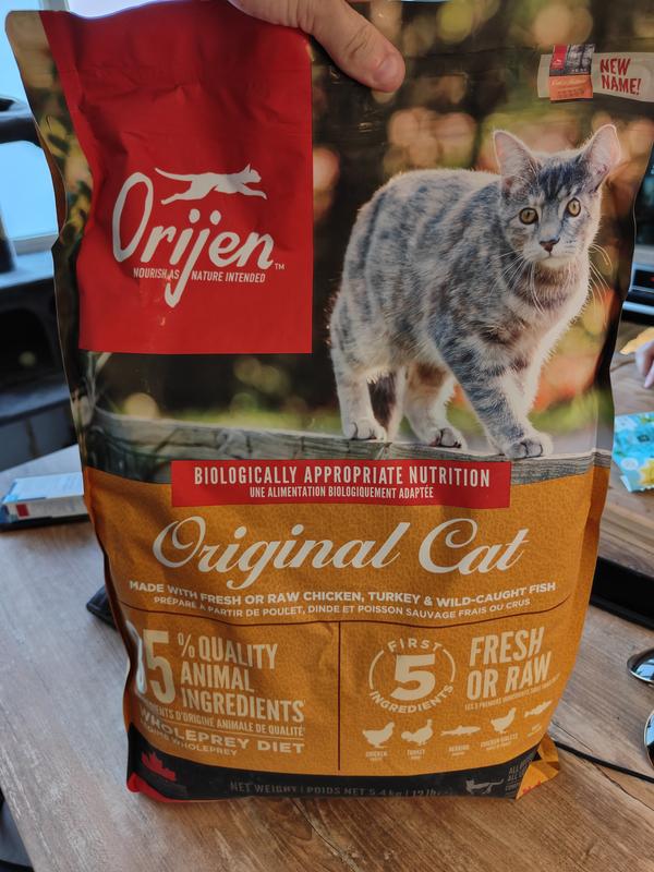 welpen nassfutter Welpen-Nassfutter Bio-Rind fr Hunde