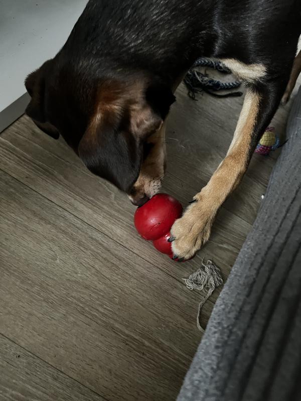 Jouet Caoutchouc Rubber Bone Os à Mâcher Pour Chien - Foto 7