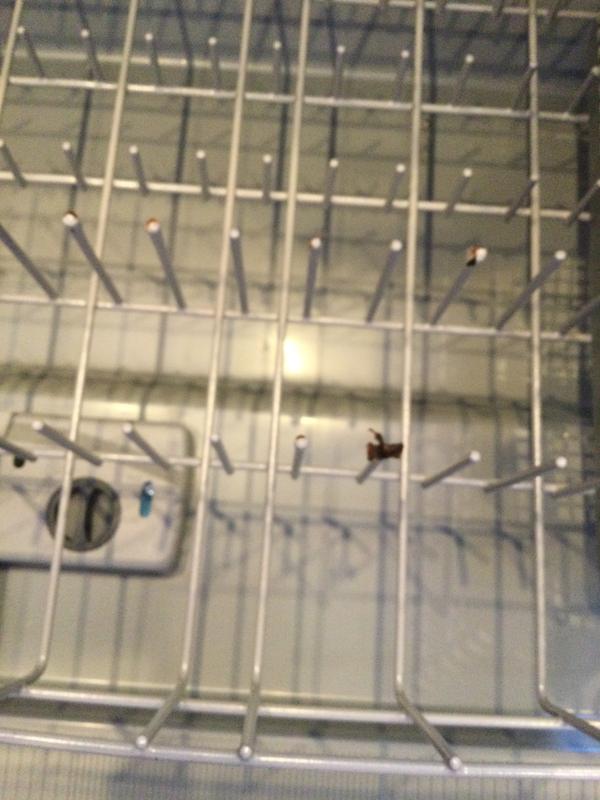 Customer photo 1 of 6. Click to open full size image.