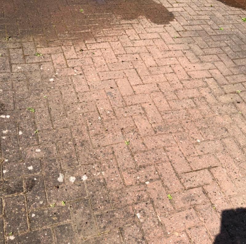 User generated review image 1