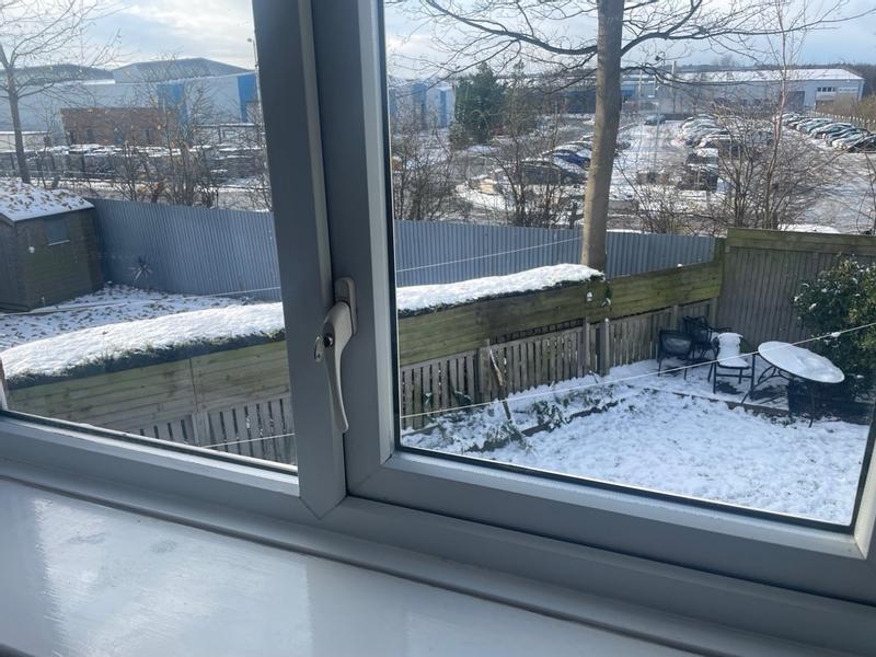 User generated review image 2