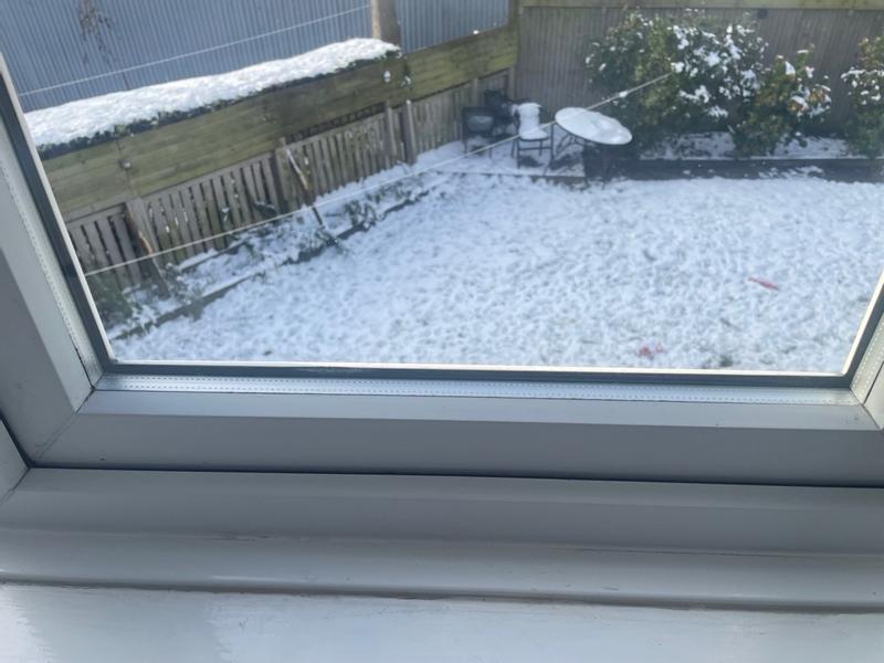 User generated review image 3