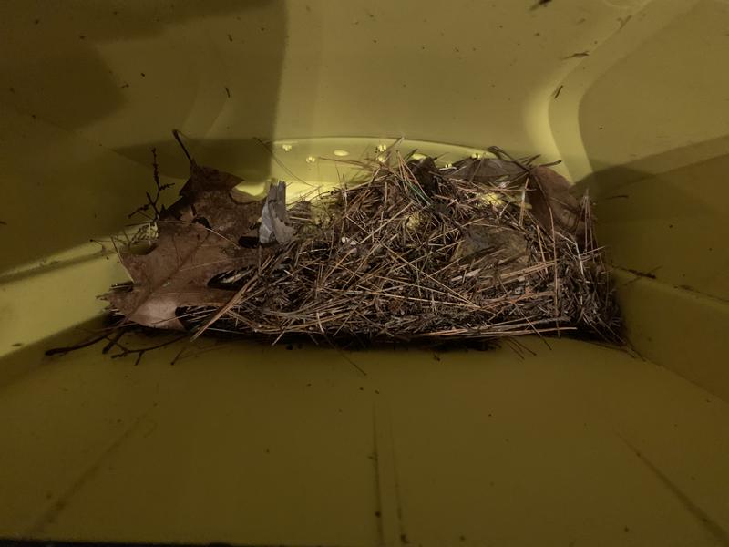 One sweep down 10 feet of driveway collected this