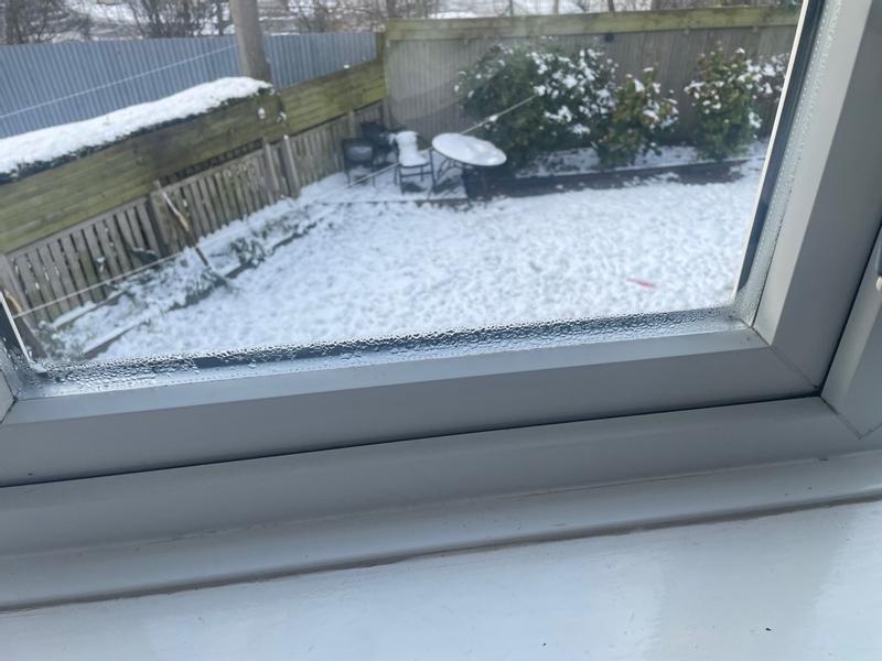 User generated review image 1