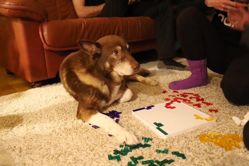 Blokus lautapeli  verkkokauppa