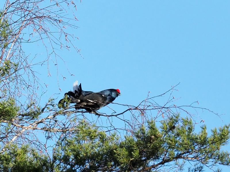 Vapaa porno seksikäs miesten