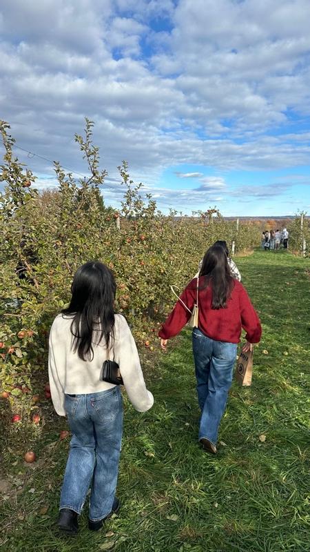 Review Thumbnail Image 0 323145240