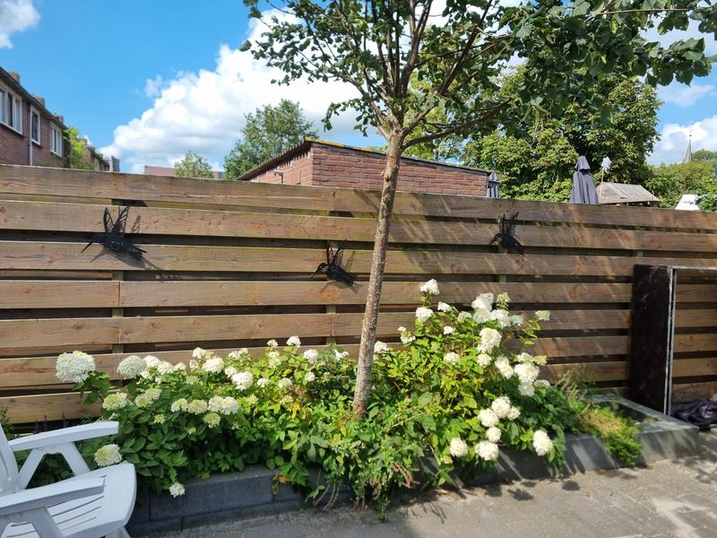 Kolibrie Solar Lights - Kolibrie Solar | Binnen Buiten Kleurverandering