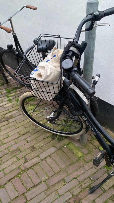 Racktime Bask-it Trunk fietsmand achter nu bestellen | ROSE Bikes