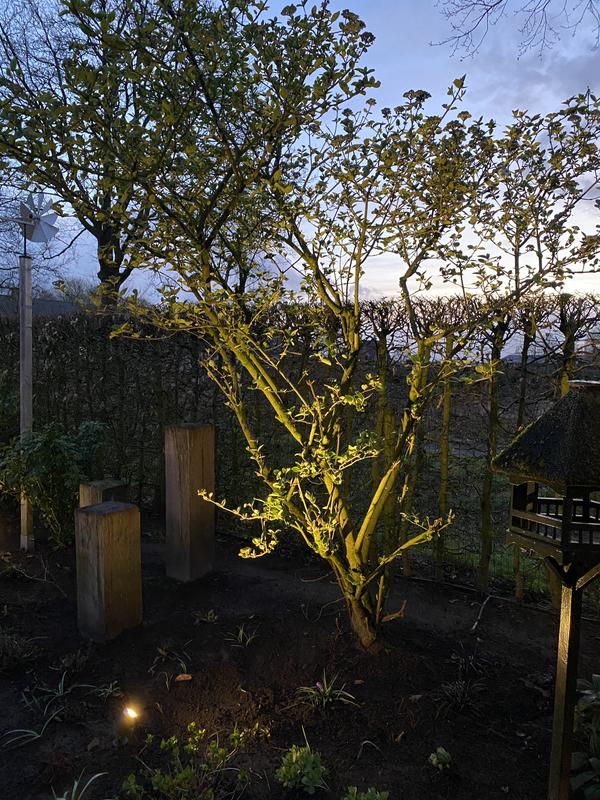 1039599_7