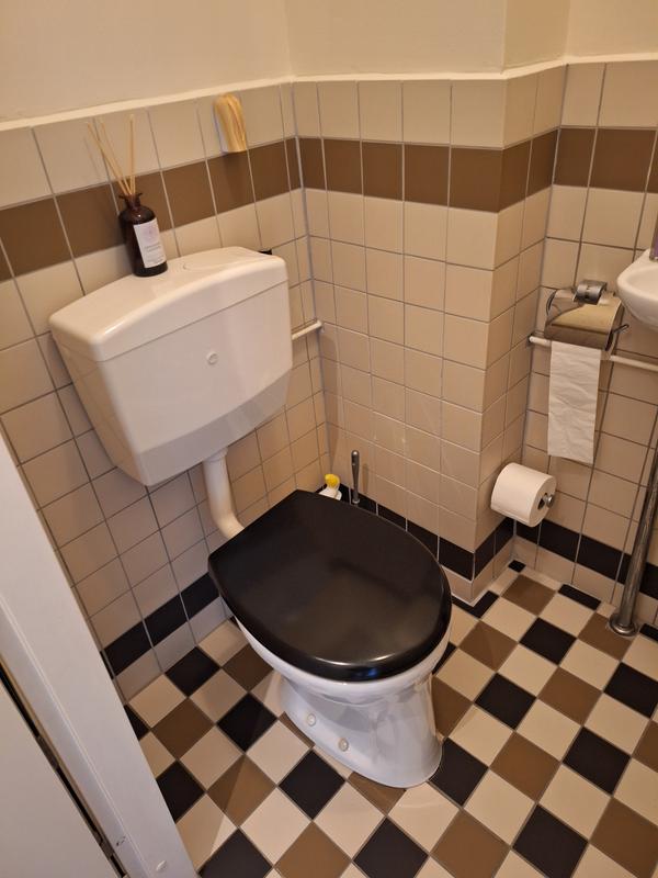 450 x 360 mm, wc-bril zwart, wc-bril met valrem, V-vorm UF-materiaal