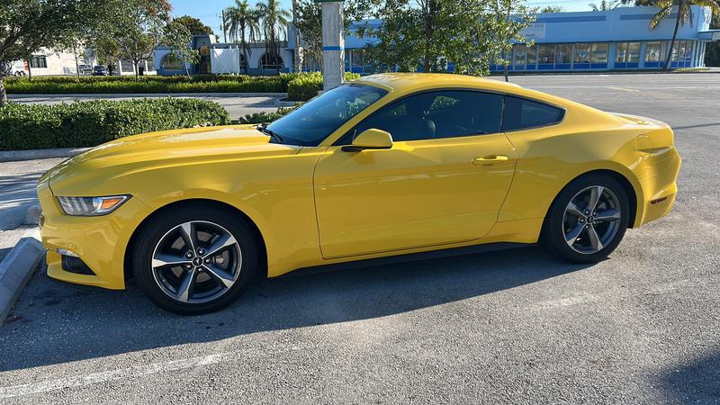 ford mustang 2017 Image - 41344748