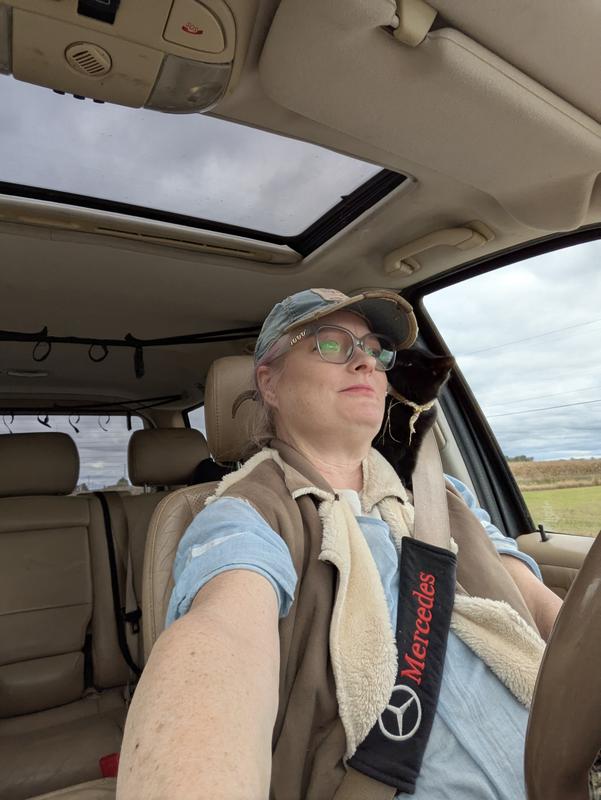 mercedes-benz m-class 2004 Image - 46937132