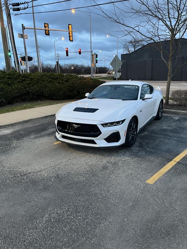 ford mustang 2026 Image - 41263470